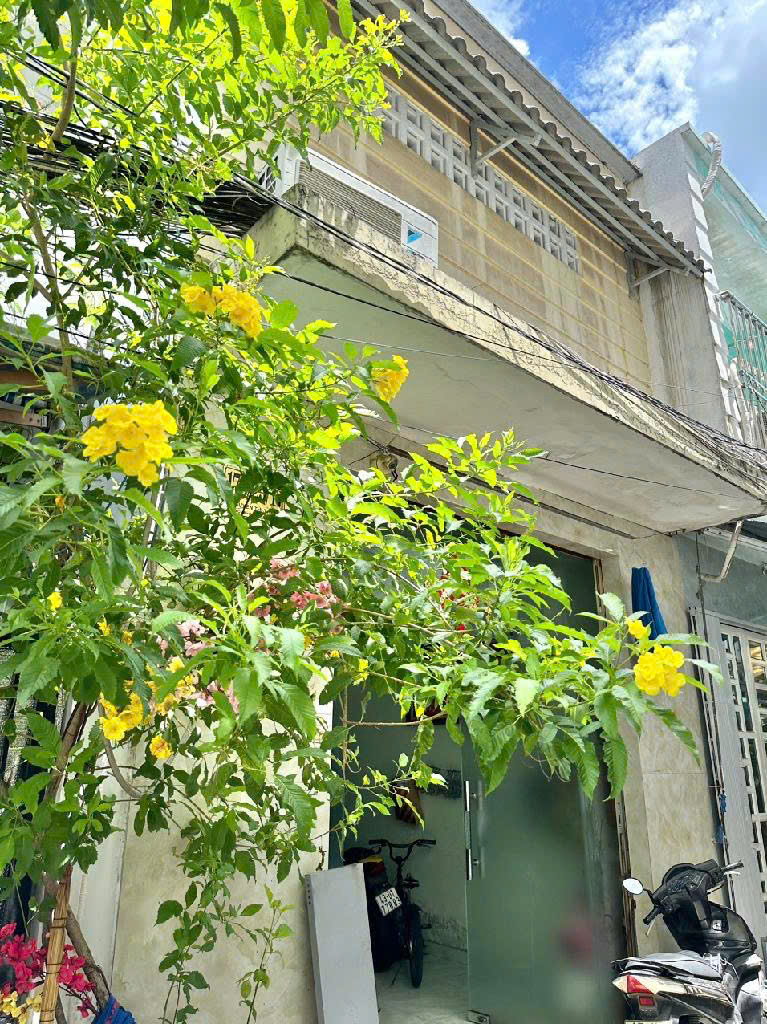 Nhà đường hẻm Nguyễn Thị Thập